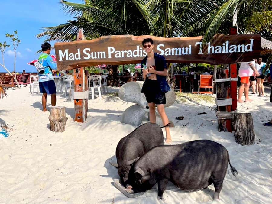 Koh Samui: Private Longtail Boat to Pig Island with Snorkel - Who will enjoy this outing most?