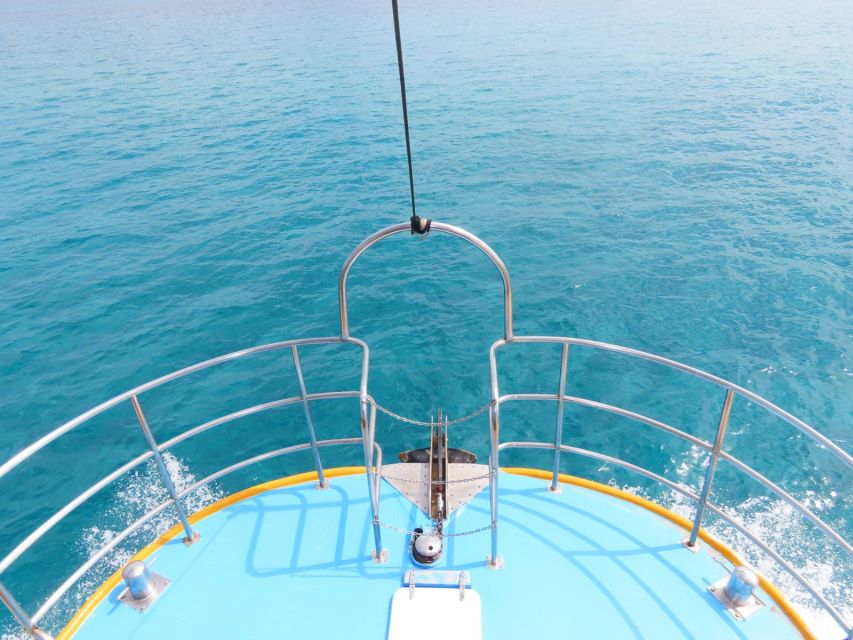 Kos Town: Glass-Bottom Boat Cruise with Swimming Stops - What the $23 price really gives you