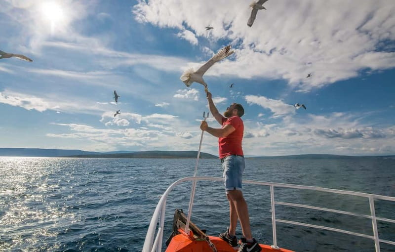 Krk: Golden Beach and Blue Cave Cruise with Welcome Drink - Practical tips for a better day