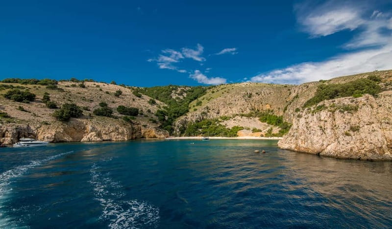 Krk: Golden Beach and Blue Cave Cruise with Welcome Drink - Feeding seagulls at Kormat Island