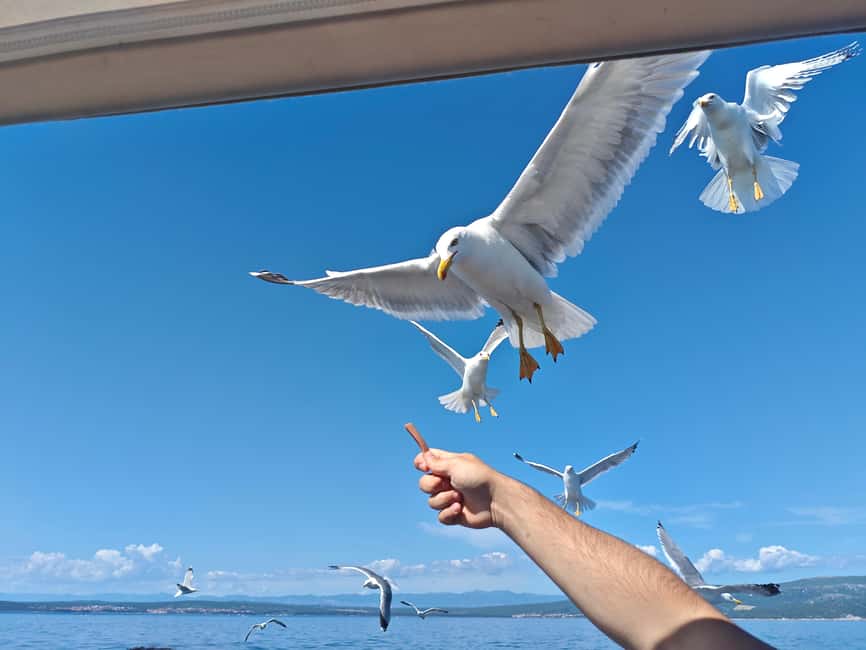 Krk: Golden Beach and Blue Cave Cruise with Welcome Drink - Who will enjoy this cruise most