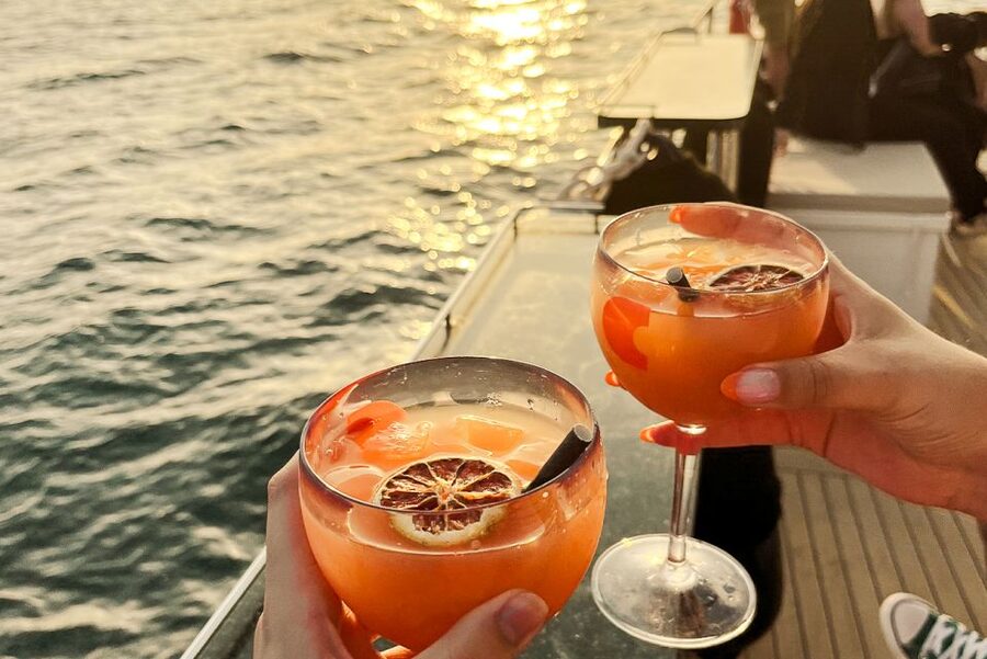 La Grande Motte: Camargue Sunset Catamaran Tour with a Drink - What the $51 price includes