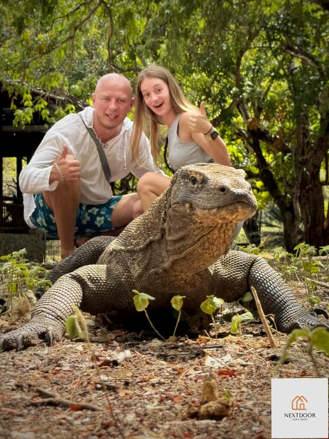 Labuan Bajo: 2D1N Komodo & Pink Beach Shared Boat Tour - Pickup in Labuan Bajo and the first sail