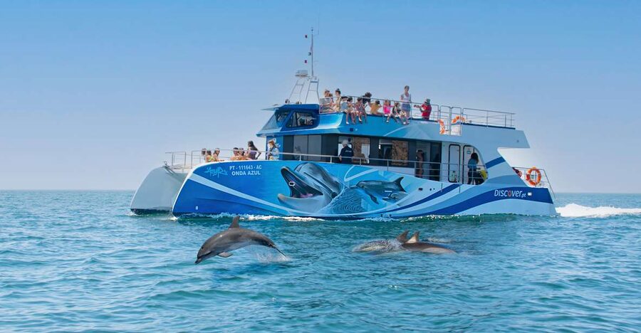 Lagos: Dolphins & Caves - Catamaran - Key points to know