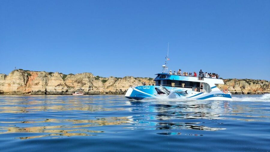 Lagos: Dolphins & Caves - Catamaran - A responsible way to watch wild animals