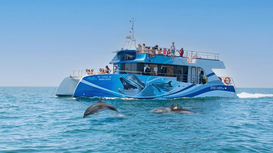 Lagos: Dolphins & Caves - Catamaran - Searching for dolphins in the open Atlantic