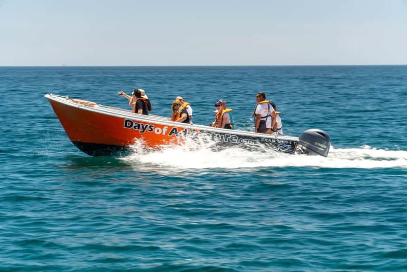 Lagos: Ponta da Piedade Caves Boat Tour - Who should book this boat tour?