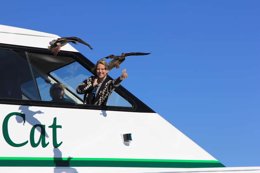 Lake Taupo: 1.5-Hour Maori Rock Carvings 5:00 PM Cruise - What to Bring and How to Prepare