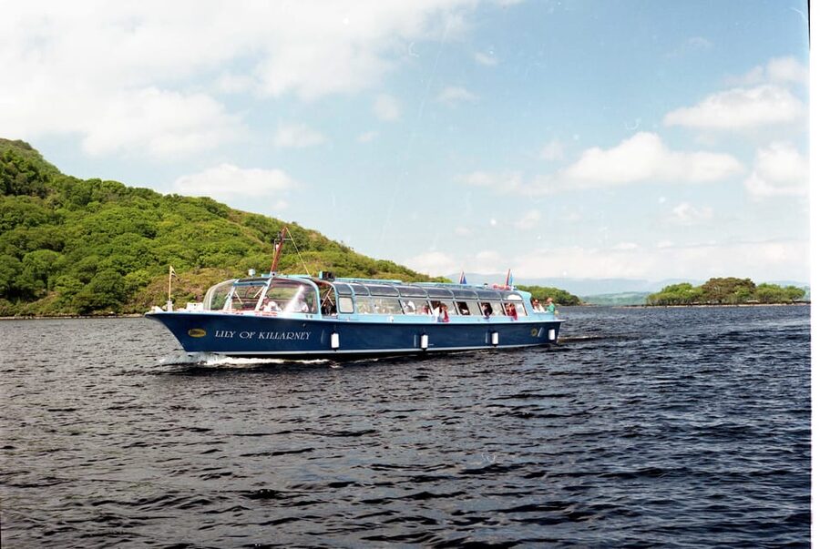 Lakes of Killarney: Boat Cruise - Ancient Oak and Yew Forests Along Ross Island