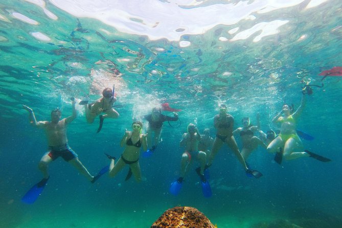 Lands End Luxury Sail and Snorkel Cruise in Cabo San Lucas - At a glance