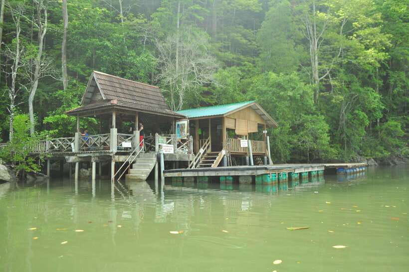 Langkawi: Kilim Mangrove Boat Tour with Lunch and Pickup - Lunch on a floating restaurant
