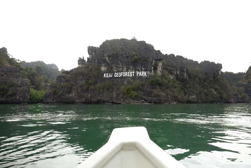 Langkawi: Mangrove River Cruise Sharing 3 Hours - Bat Cave and the RM2 choice