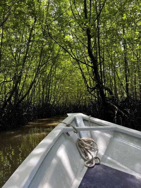 Langkawi: UNESCO Global Geopark Mangrove Cruise - Is $34 a fair price?