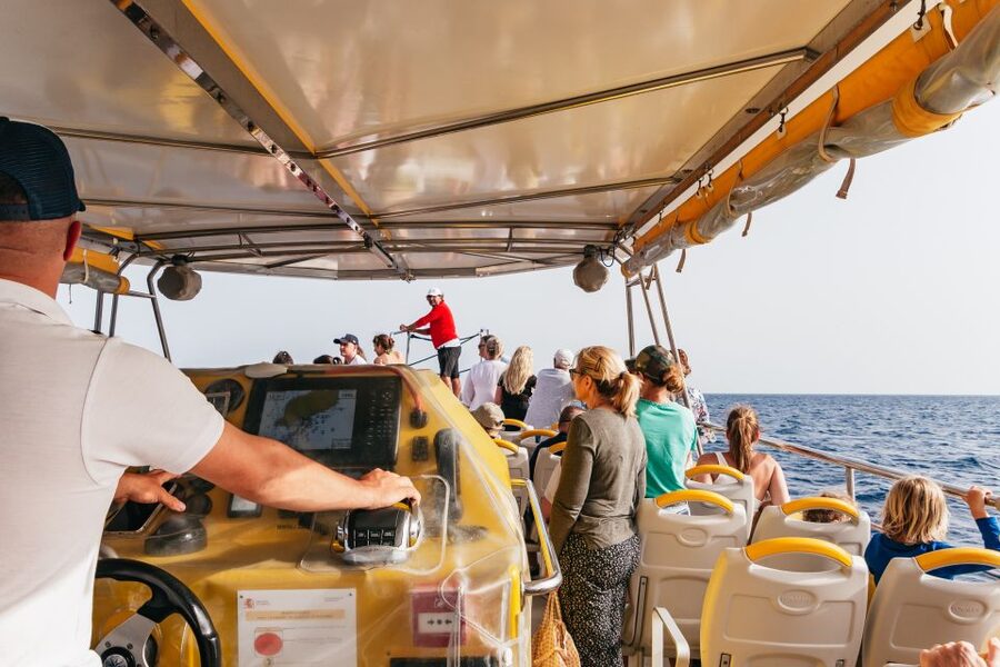 Lanzarote: 2.5-Hour Sunset and Dolphins Cruise - Who will enjoy this cruise most?