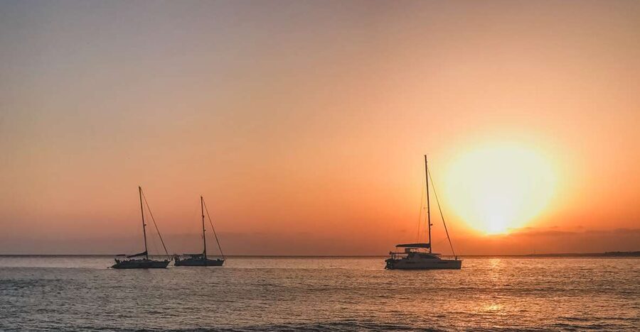 Lanzarote: Dolphin-Watching Sunset Cruise with Transfers - The transfer matters more than it first appears