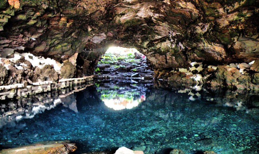 Lanzarote: Jameos del Agua & North Island for Cruise Guests - A shore excursion that respects ship time