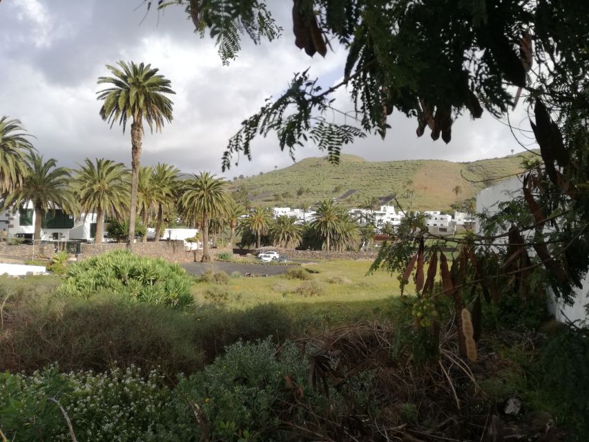 Lanzarote: Jameos del Agua & North Island for Cruise Guests - Small details that will improve your morning