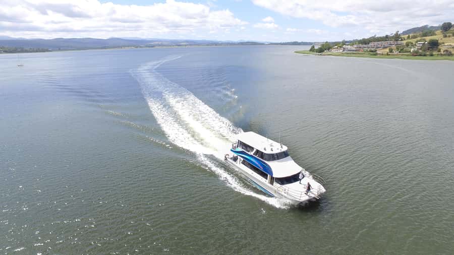Launceston: 2.5-Hour Afternoon Discovery Cruise - Key points to know before you book