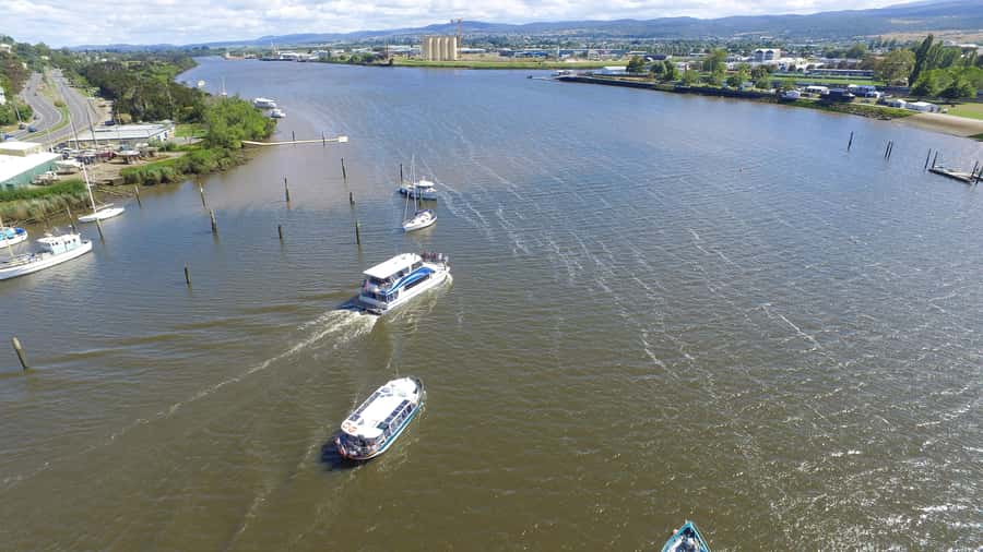 Launceston: 2.5-Hour Afternoon Discovery Cruise - North along the Tamar past Tamar Island