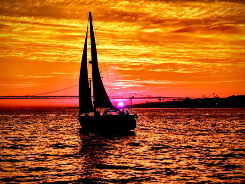 Lisbon: Daytime or Sunset Boat Cruise with History and Wine - Green wine, pastel de nata, and the relaxed pace
