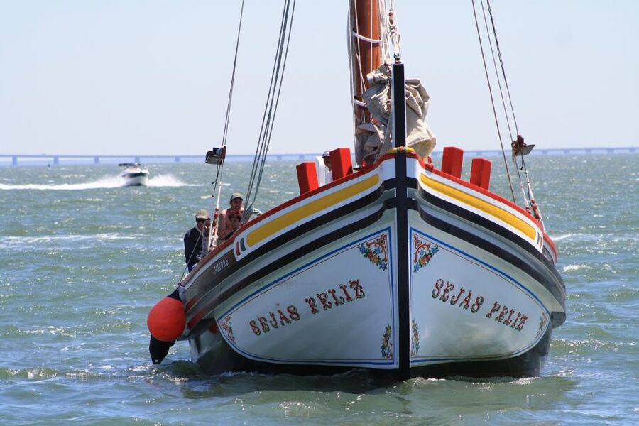 Lisbon: River Tagus Sightseeing Cruise in Traditional Vessel - What the guide adds, and where the format has limits