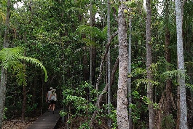 Litchfield National Park and Jumping Crocodile Cruise - Why this Darwin day trip works so well