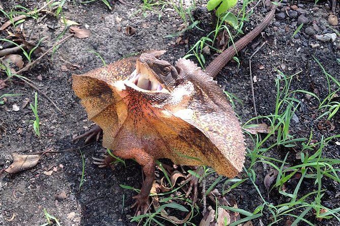 Litchfield National Park and Jumping Crocodile Cruise - Florence Falls and the steps that matter