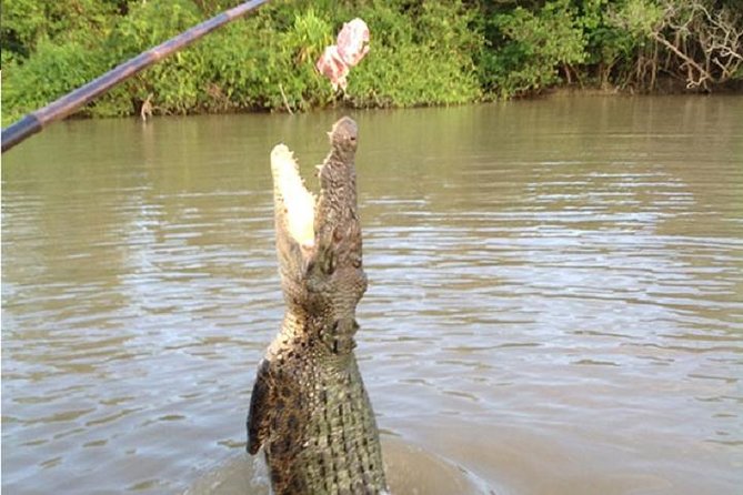 Litchfield National Park and Jumping Crocodile Cruise - Lunch, snacks, and the practical details