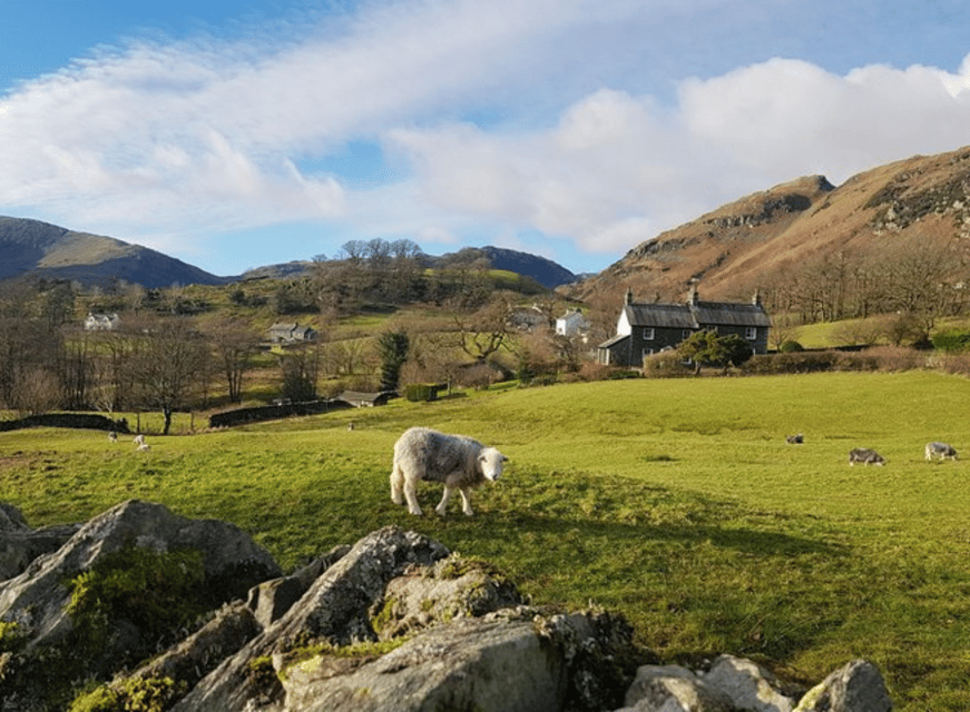 Liverpool: Lake District Tour with Lake Cruise - Tarn Hows and the Beatrix Potter connection