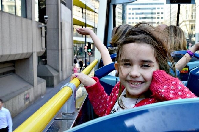 London Tootbus Hop on Hop off Bus Tour and Thames River Cruise - Who should book this London bus tour?
