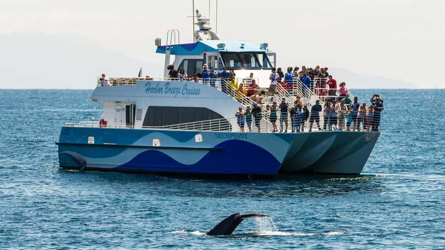 Long Beach: Whale and Dolphin Watching Cruise - Leaving Long Beach with the Pacific ahead