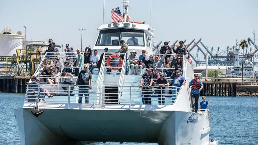 Long Beach: Whale and Dolphin Watching Cruise - What $45 buys you
