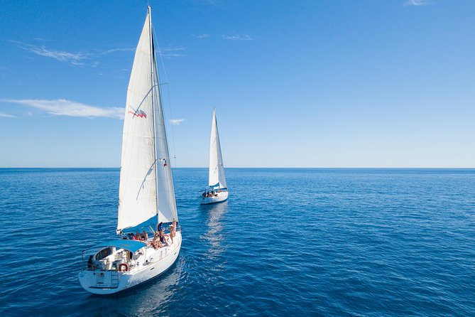 Los Cabos Luxury Sailing, Snorkel and Lunch Cruise - Wildlife sightings are a lucky bonus