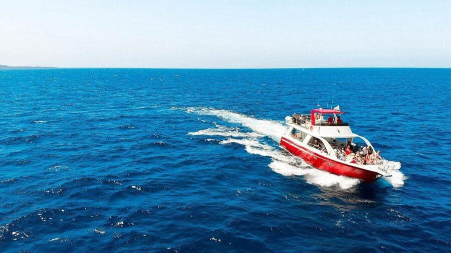 Los Cristianos: Eco Yacht Whale Watching Tour at Sunset - A low, stable boat built for marine life