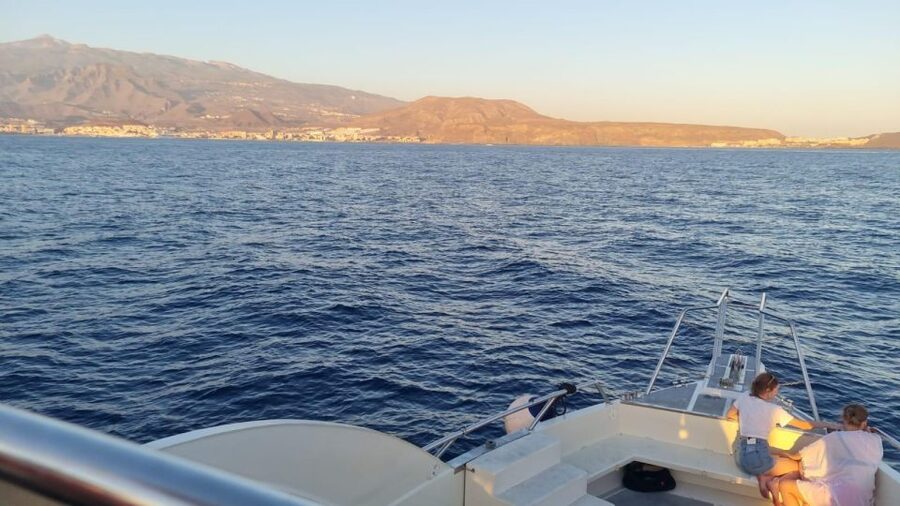Los Cristianos: Eco Yacht Whale Watching Tour at Sunset - The guide makes a real difference