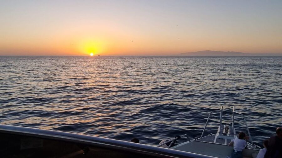 Los Cristianos: Eco Yacht Whale Watching Tour at Sunset - Who will enjoy this trip most
