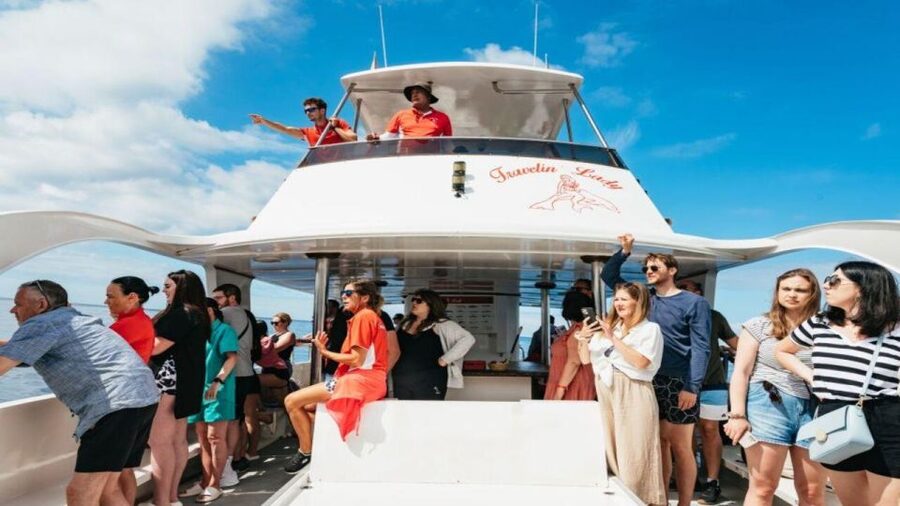Los Cristianos: Eco Yacht Whale Watching Tour at Sunset - Meeting Travelin Lady at Los Cristianos port
