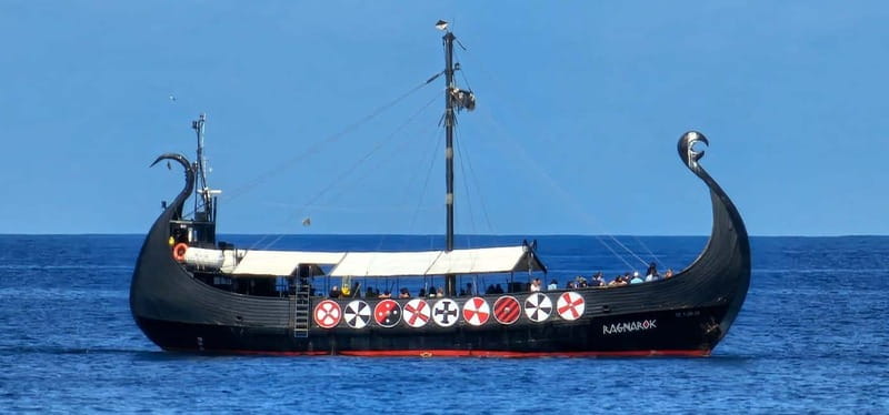 Los Cristianos: Viking Cruise Whales & Dolphins Watching - Who should book the Ragnarok cruise?