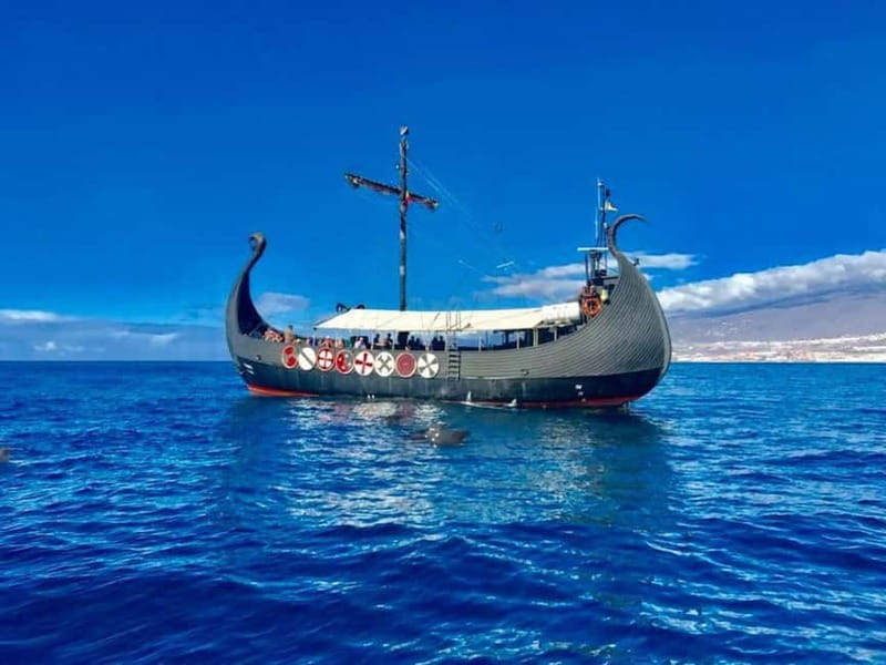 Los Cristianos: Whale Watching Cruise w/Swim Stop & Drinks - Searching for dolphins and pilot whales between Tenerife and La Gomera