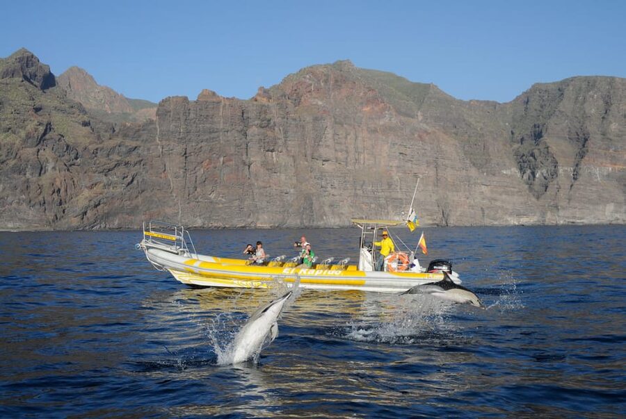 Los Gigantes: Dolphin and Whale Watching Cruise by Speedboat - Leaving Los Gigantes port