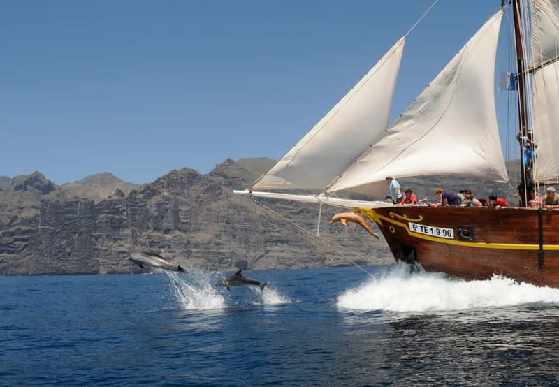 Los Gigantes: Dolphin & Whale Watching Tour on a Pirate Boat - The cliffs of Los Gigantes and Masca
