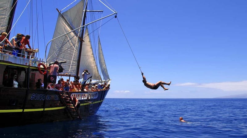 Los Gigantes: Dolphin & Whale Watching Tour on a Pirate Boat - What the pirate theme really means