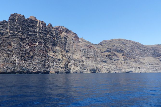Los Gigantes Whale Watching Charter by Sail Boat - Meeting at Pantalán 1 in Los Gigantes