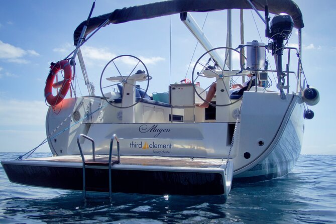 Los Gigantes Whale Watching Charter by Sail Boat - Who should book this sailing trip?
