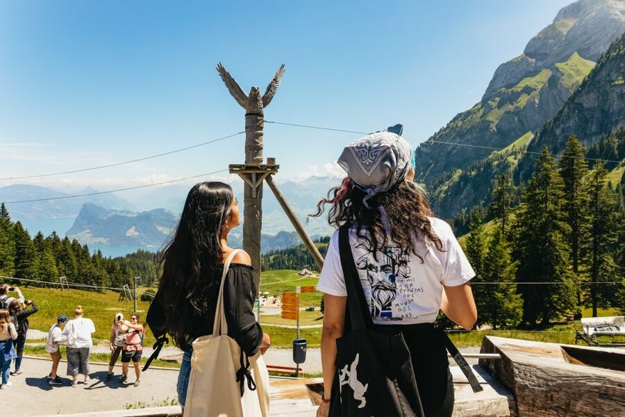Lucerne: Mt. Pilatus Cable Car, Cogwheel Train & Lake Cruise - The cogwheel railway down the mountain