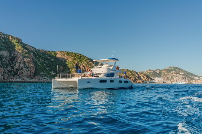 Luxury Catamaran Whale Watching Cabo San Lucas - Why this Cabo whale watch feels different