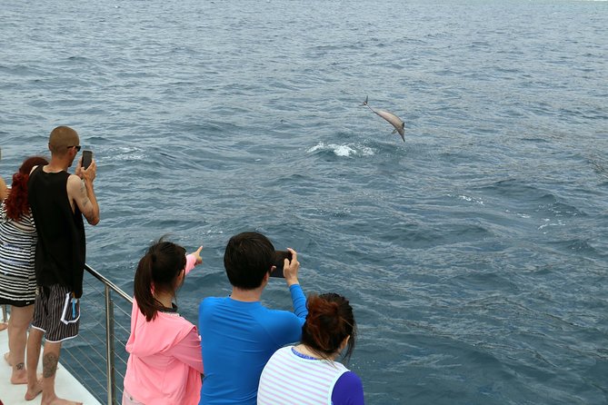 Luxury Snorkel Cruise, Local Buffet with Whale & Dolphin Watch - The photographer adds useful vacation photos