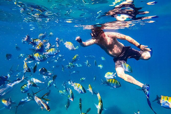 Luxury Yacht & Snorkel with All inclusive Open bar and lunch - Beach time, paddleboards, and the banana boat
