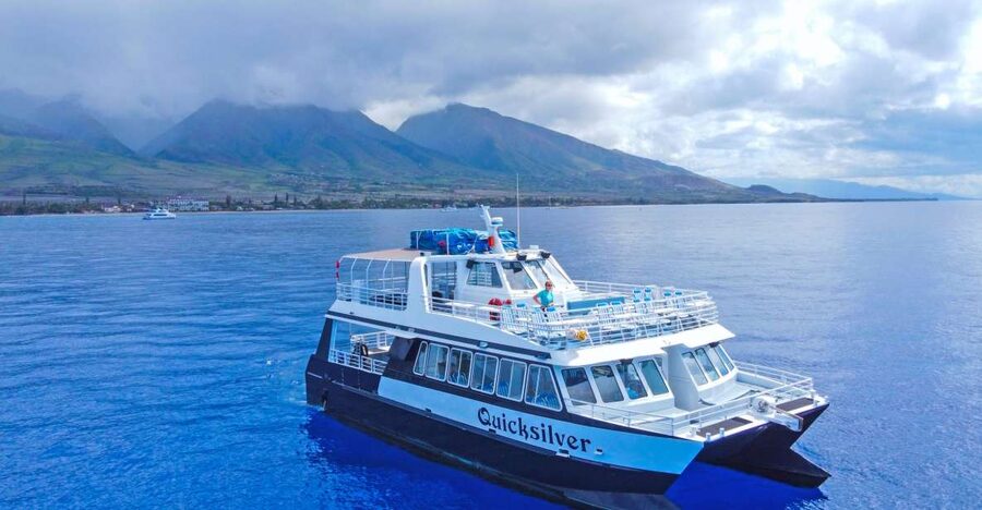 Ma'alaea Harbor: Whale Watching Tour Aboard Power Catamaran - Setting out from Maalaea Harbor