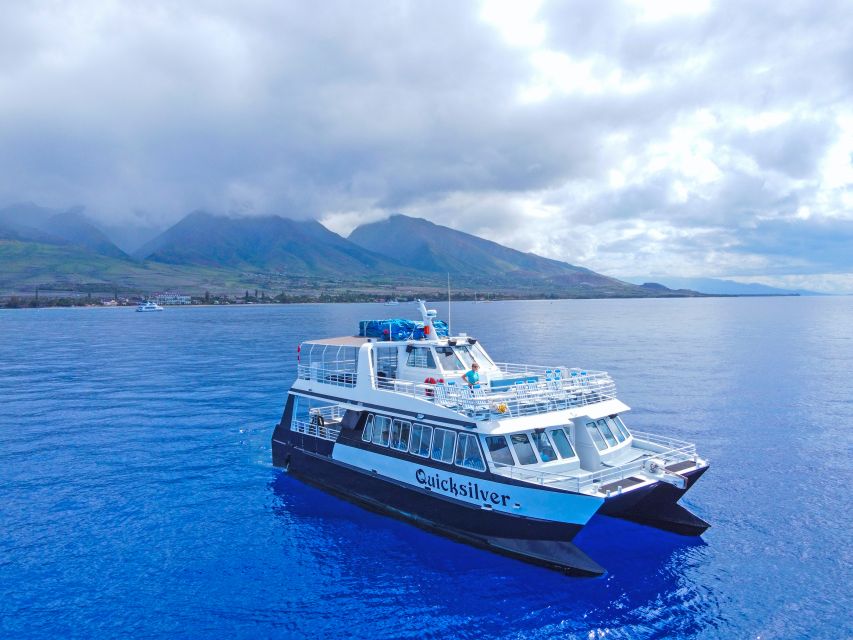 Ma'alaea Harbor: Whale Watching Tour Aboard Power Catamaran - Maalaea Bay and the whale search